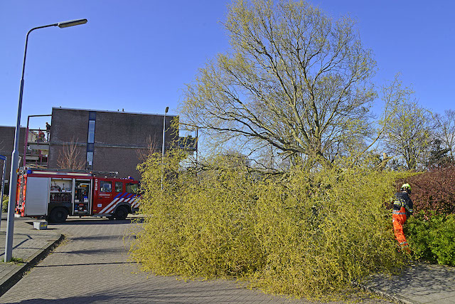 2020/86/20200329-16u36 GB 004 Stormschade Swammerdamstraat.jpg